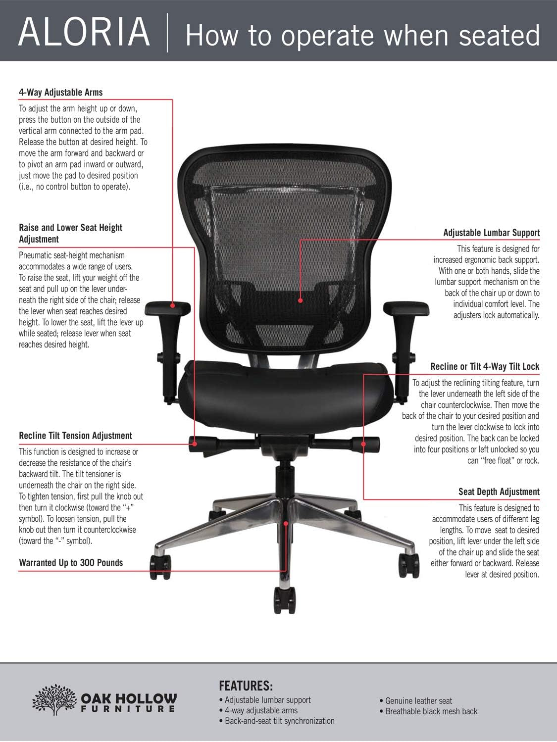 Aloria Series Office Chair Ergonomic Executive Computer Chair, Genuine Leather Seat Cushion, Mesh Back, Adjustable Lumbar Support Swivel and Tilt High-Back (Black)