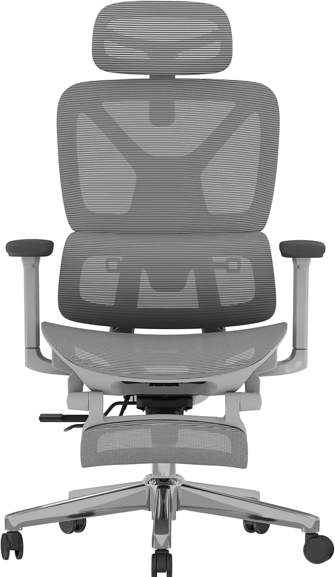 FLEXISPOT ErgoX Premium Ergonomic Office Chair with Footrest- Adjustable 3D Armrests, Dynamic Lumbar Support, Recline & Tilt Function, Mesh Seat, for Home & Office Use