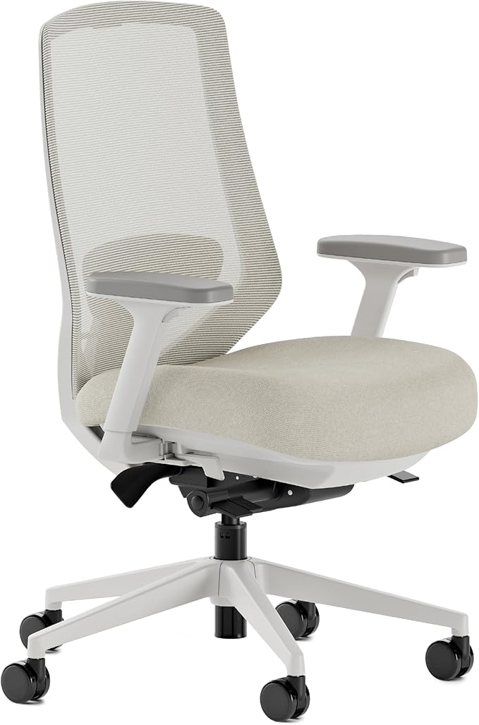 Branch Ergonomic Chair Pro - Mesh Office Chair with 14 Points of Adjustment - Height, Depth & Tilt Adjustable - 5D Armrests - Forward Tilt, Smooth Recline, and Lumbar Support