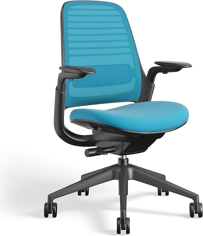 Steelcase Series 1 Office Chair - Ergonomic Work Chair with Wheels for Carpet - Helps Support Productivity - Weight-Activated Controls, Back Supports & Arm Support - Easy Assembly