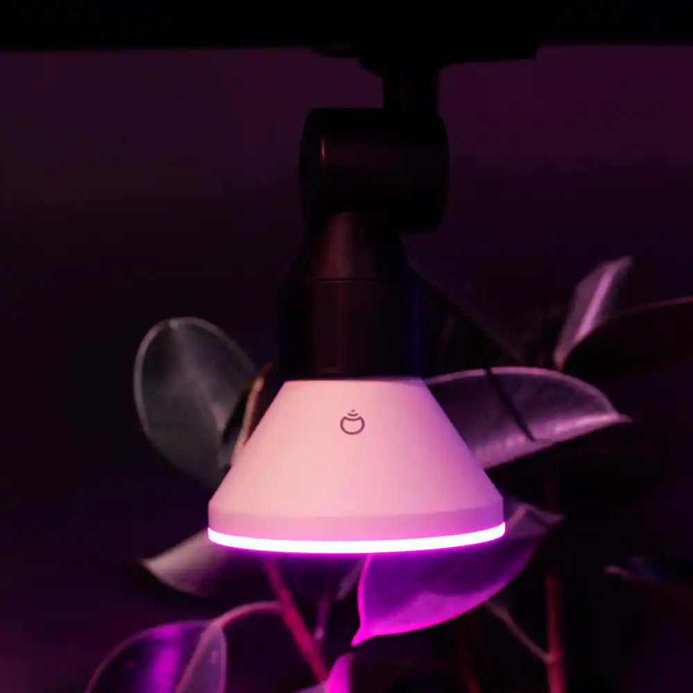 150-Watt Equivalent PAR38 Multi-Color 9000K Wi-Fi LED Light Bulb Works W/Alexa/Hey Google/Homekit Tunable White (4-Pack)