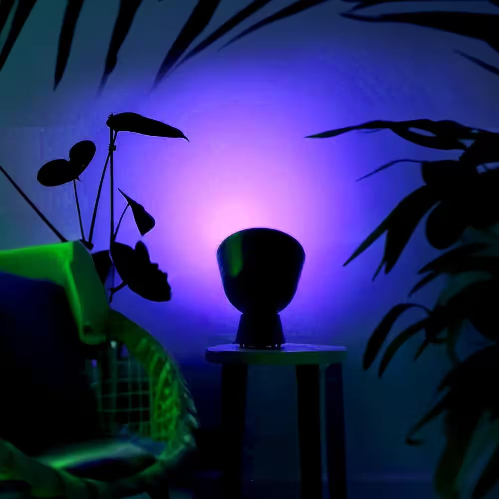 150-Watt Equivalent PAR38 Multi-Color 9000K Wi-Fi LED Light Bulb Works W/Alexa/Hey Google/Homekit Tunable White (1-Pack)