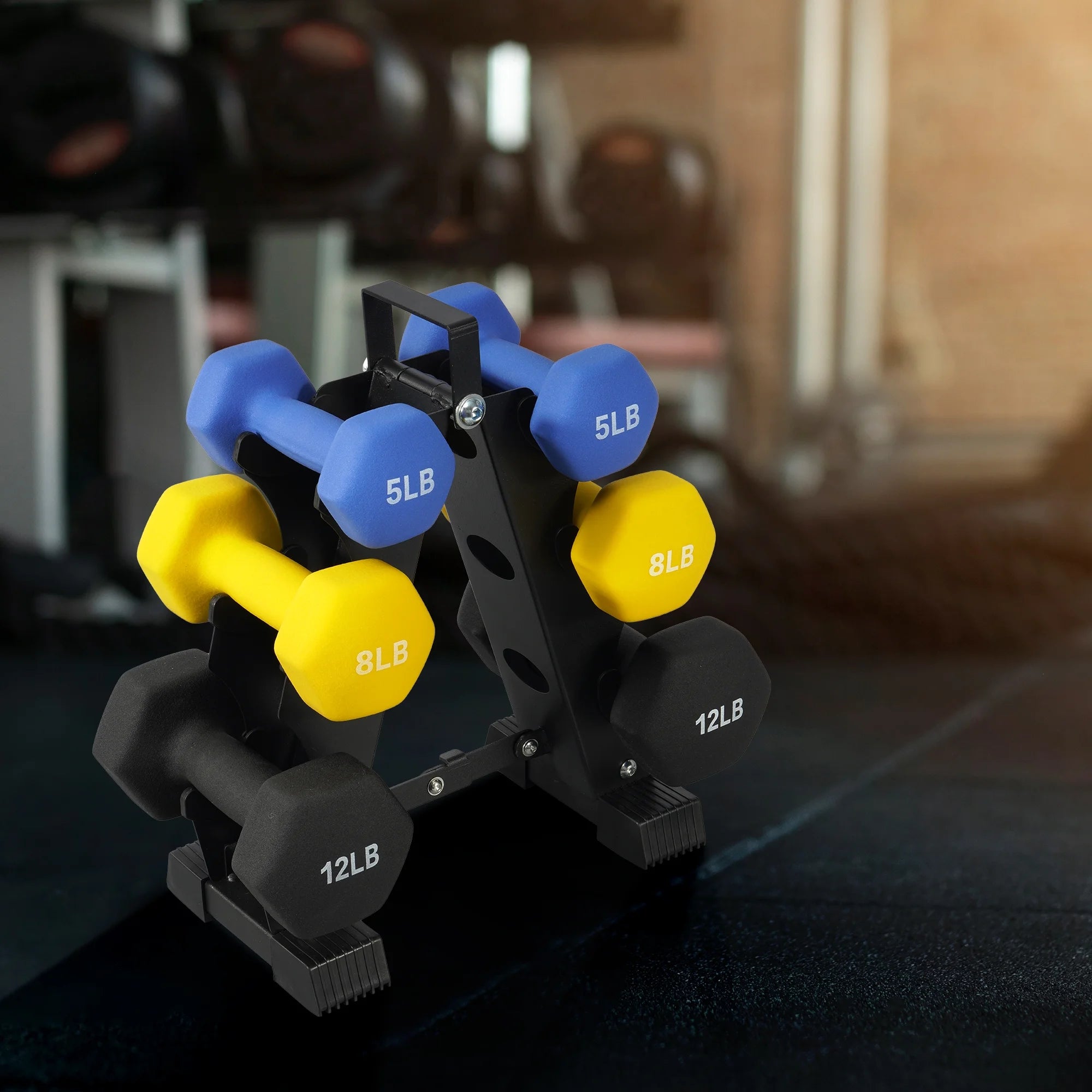 Dumbbell Set with Stand (5Lbs, 8Lbs, 12Lbs Set)