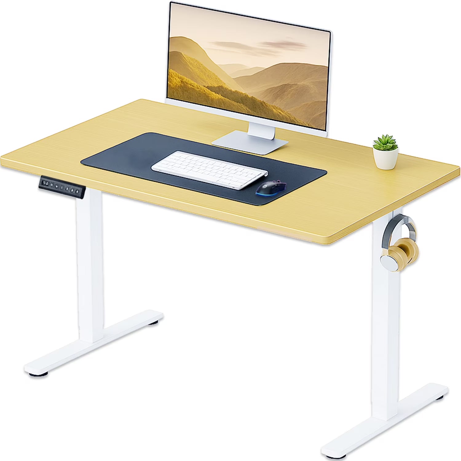 Electric Standing Desk, 40''X24'' Height Adjustable Desk, Home Office Desk with Electric Lift, Sit Stand Desk Workstation for Home Office, Oak