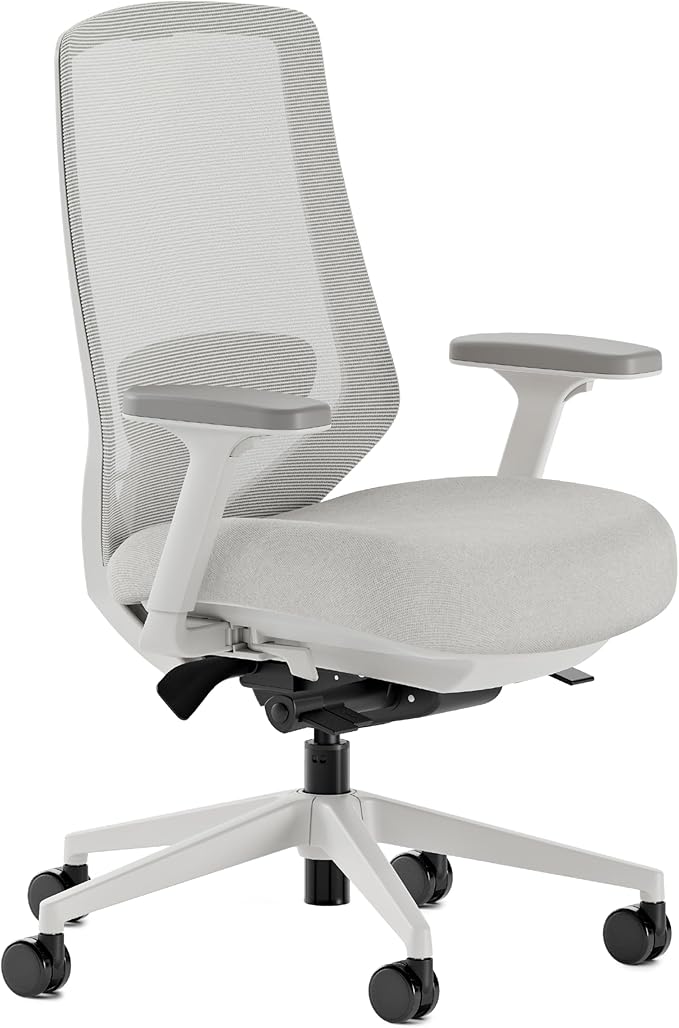 Branch Ergonomic Chair Pro - Mesh Office Chair with 14 Points of Adjustment - Height, Depth & Tilt Adjustable - 5D Armrests - Forward Tilt, Smooth Recline, and Lumbar Support