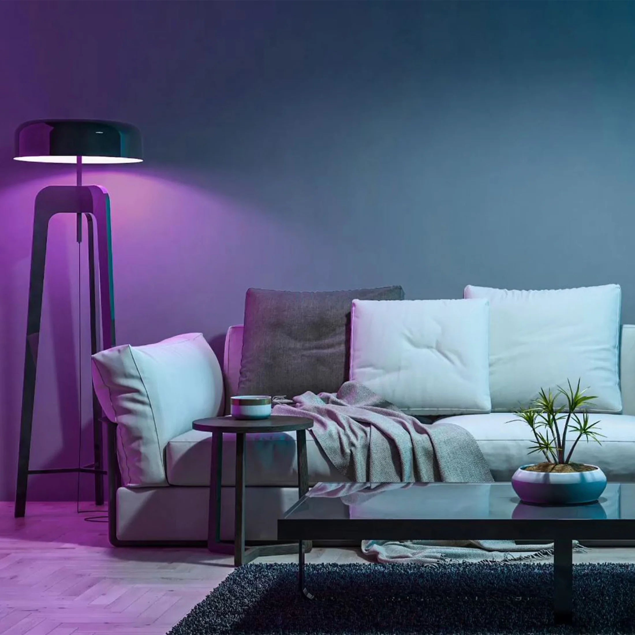 Smart LED 9 Watt (60 Watt Equiv) Color Select White Light Bulb, A19, E26, Dim 3 Pack