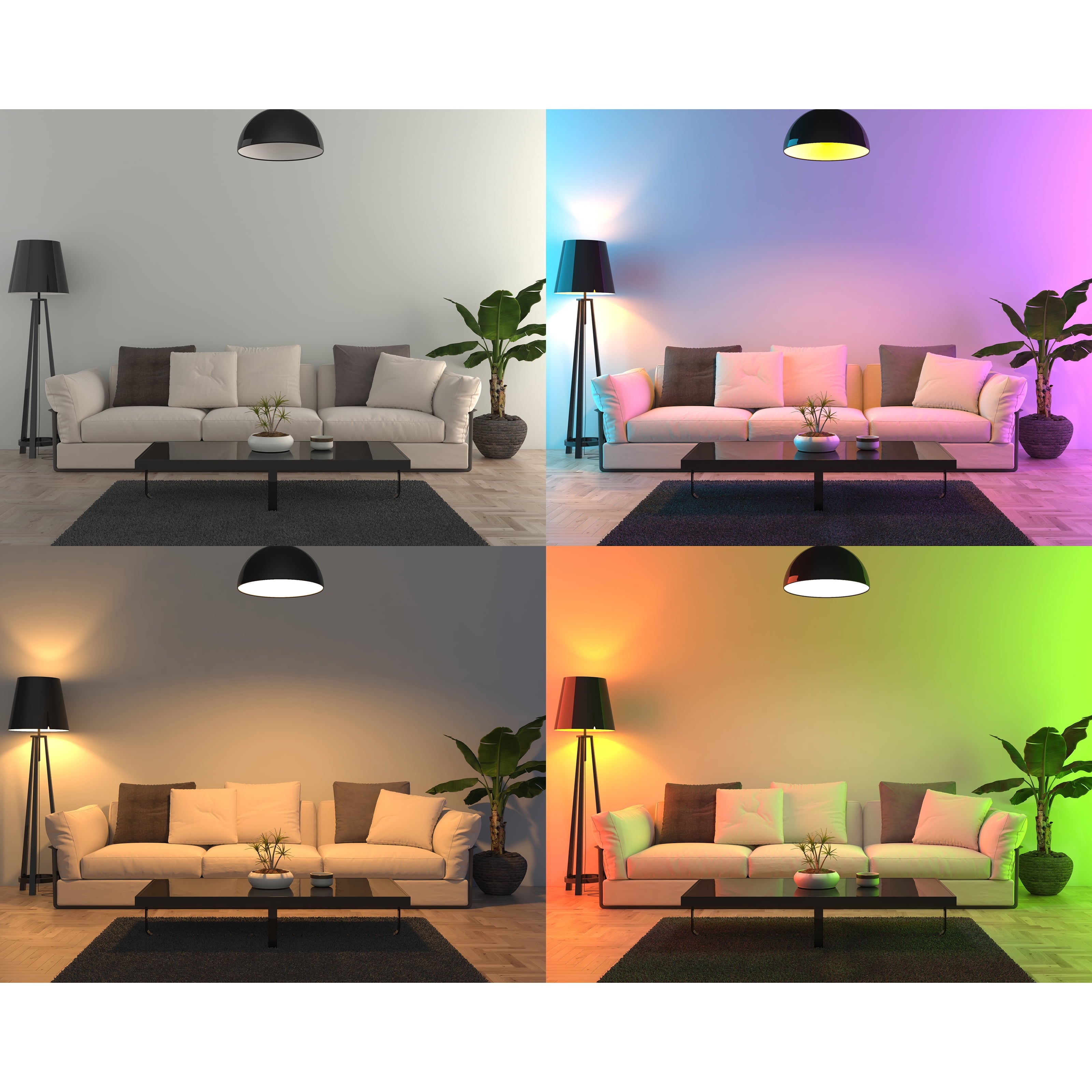 Smart LED 9 Watt (60 Watt Eq.) Color Changing/Tunable White Light Bulb, A19, E26, Dimmable