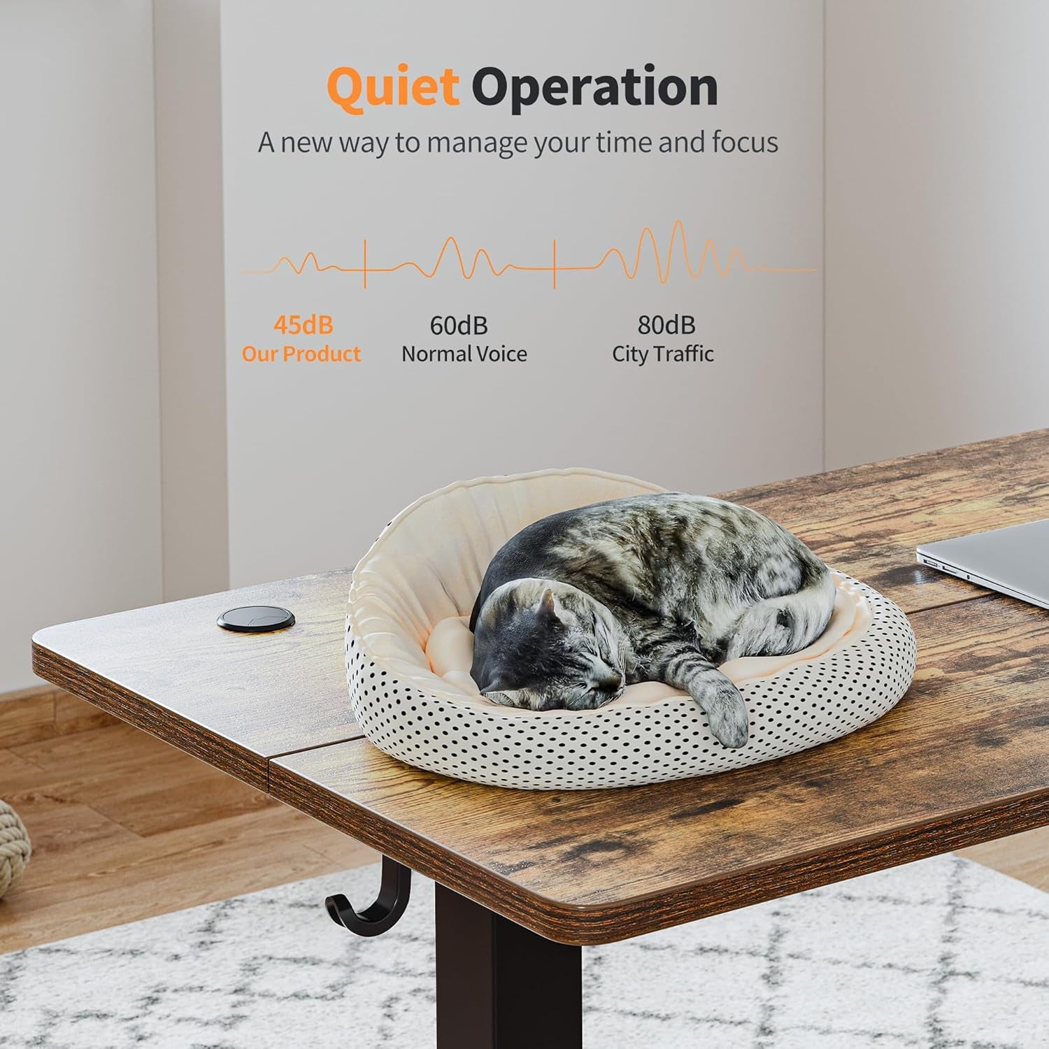 48'' Electric Standing Desk,Adjustable Height Stand up Desk,Sit Stand Home Office Desk, Rustic Brown Top