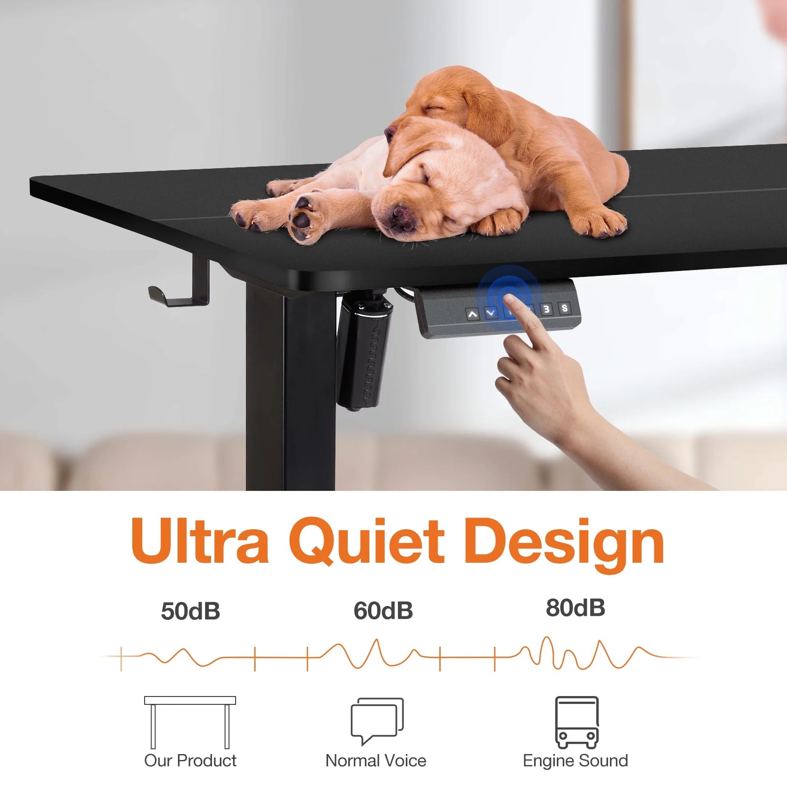 Electric Standing Desk, 55''X24'' Height Adjustable Desk, Home Office Desk with Electric Lift, Sit Stand Desk Workstation for Home Office, Black